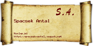 Spacsek Antal névjegykártya